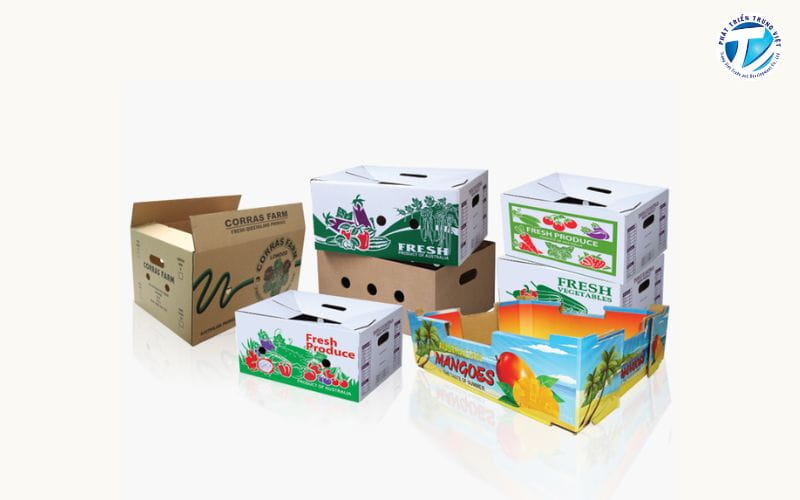 In thùng carton là gì? 